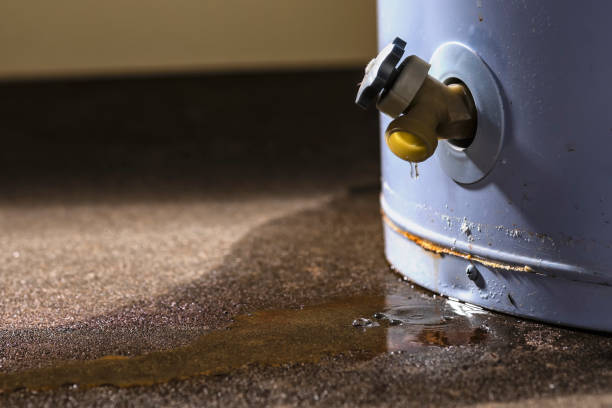 Best Residential water damage restoration  in Frankfort, IN