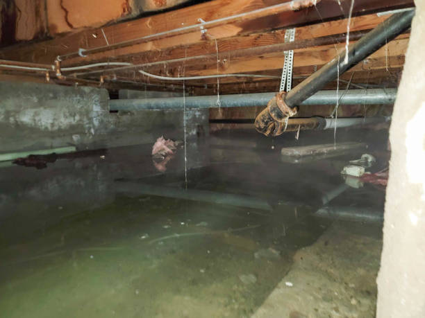 Best Ceiling water damage repair  in Frankfort, IN