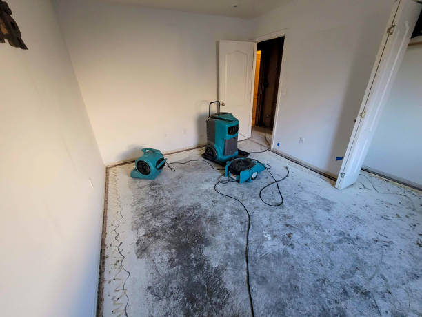 Best Mold removal after water damage  in Frankfort, IN