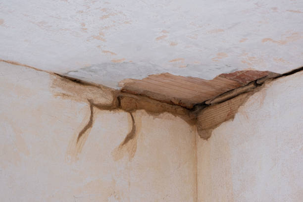 Best Commercial water damage restoration  in Frankfort, IN