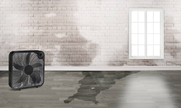 Best 24-hour water damage restoration  in Frankfort, IN