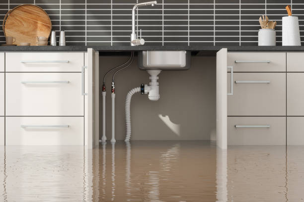 Best Local water damage restoration  in Frankfort, IN